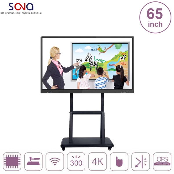 Màn hình tương tác 65 inch